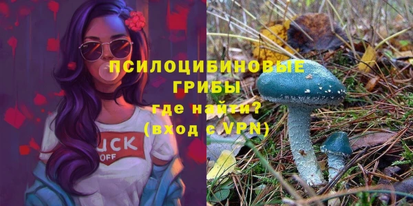крисы Балахна
