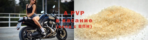 индика Баксан