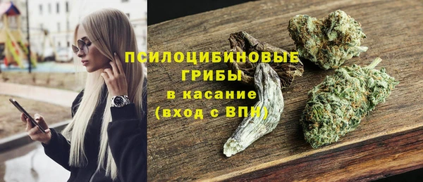 крисы Балахна