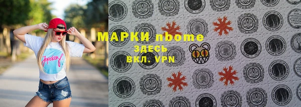 индика Баксан