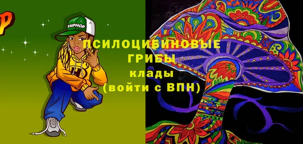индика Баксан