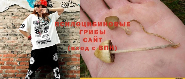 индика Баксан