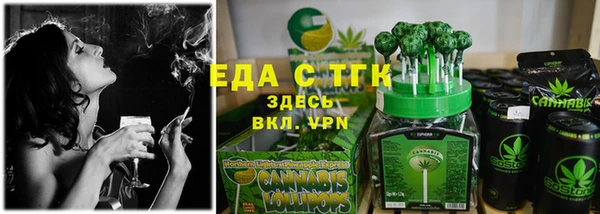 индика Баксан