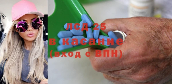 индика Баксан