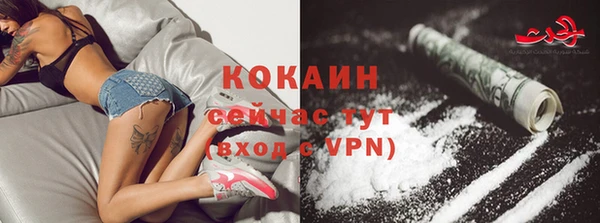крисы Балахна