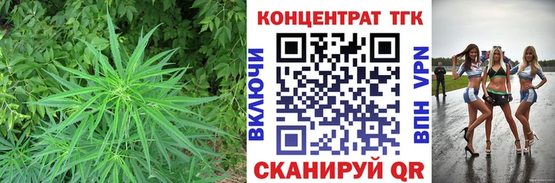 даркнет сайт Устюжна ТГК жижа